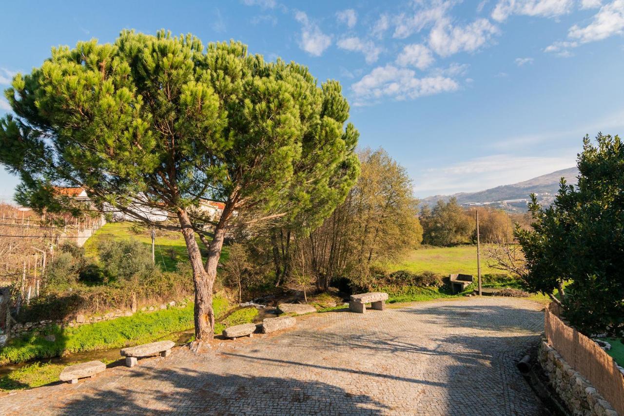 Casa Do Loureiro 1 - Seia - Serra Da Estrela Luaran gambar